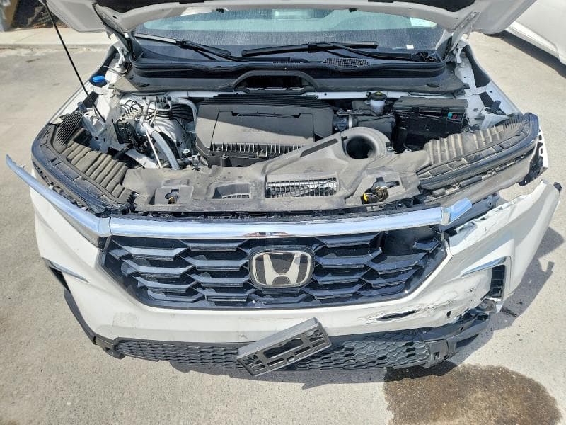 2025 HONDA PILOT TOURING 12
