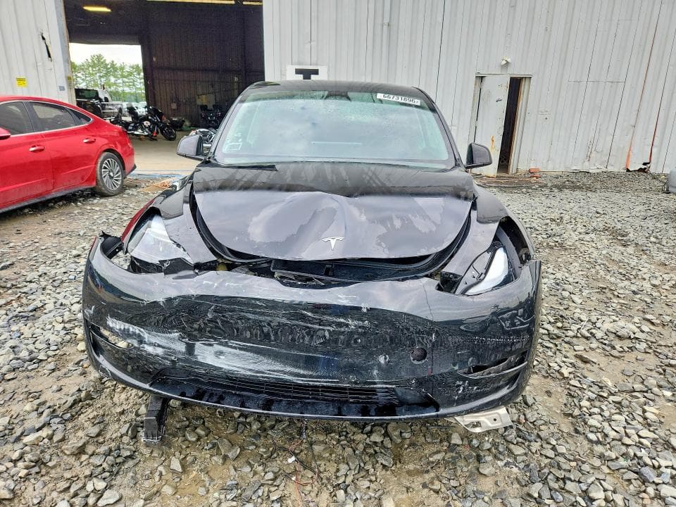 2023 TESLA MODEL Y 5