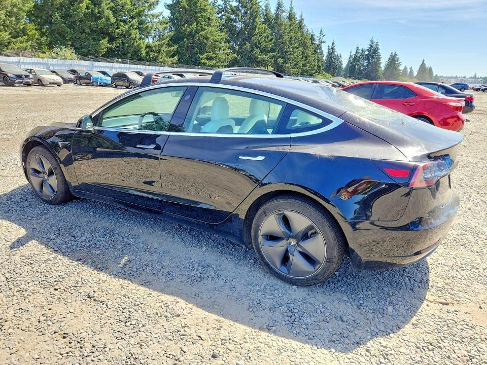 2019 TESLA MODEL 3 2