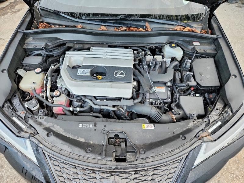 2019 LEXUS UX 250H 11