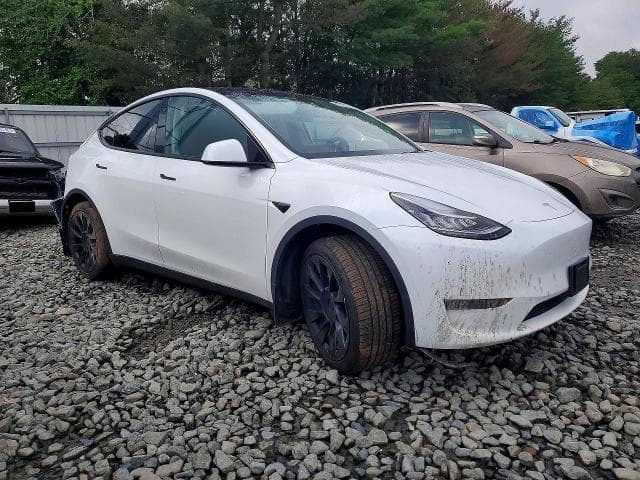2023 TESLA MODEL Y 4