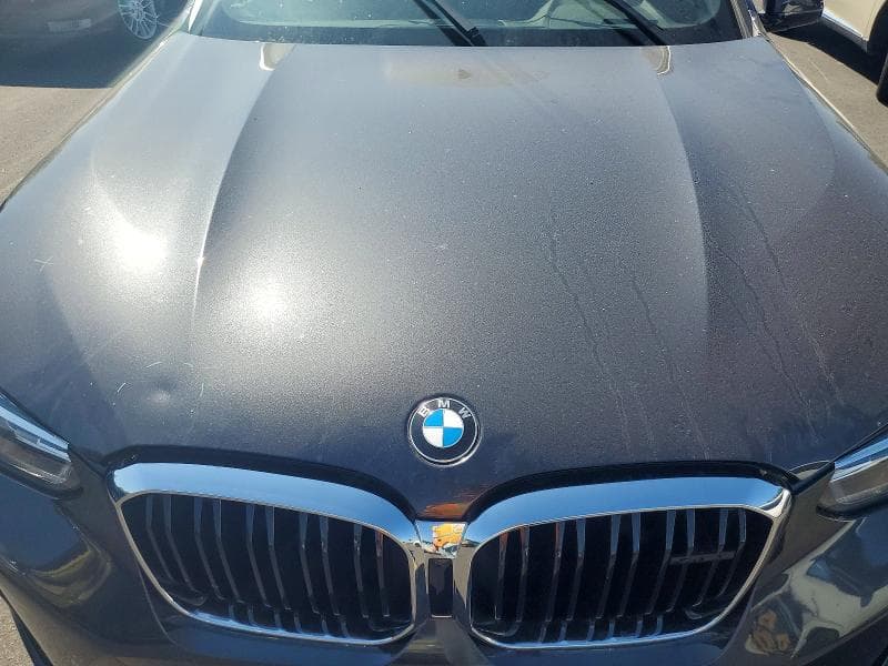2023 BMW X4 M 11