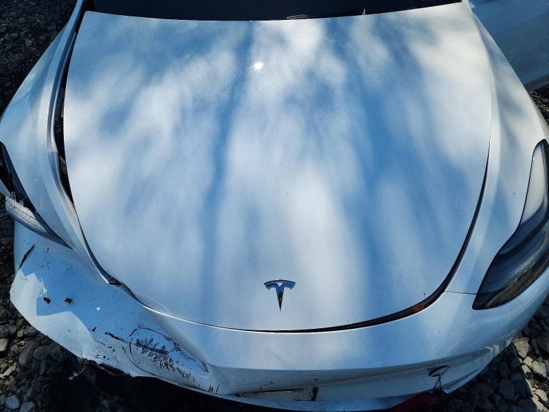 2023 TESLA MODEL Y 11