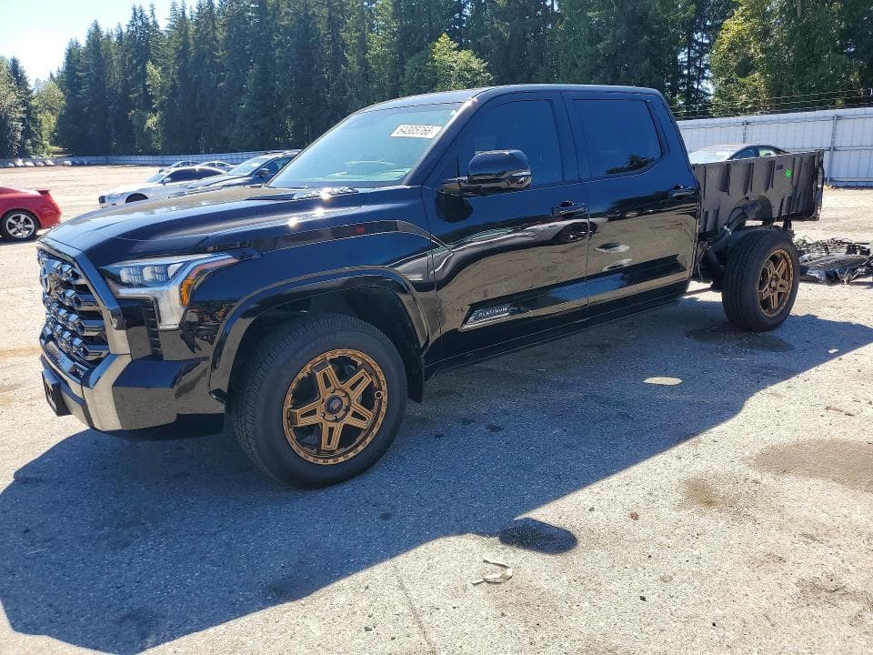 2022 TOYOTA TUNDRA PLATINUM HV - 1