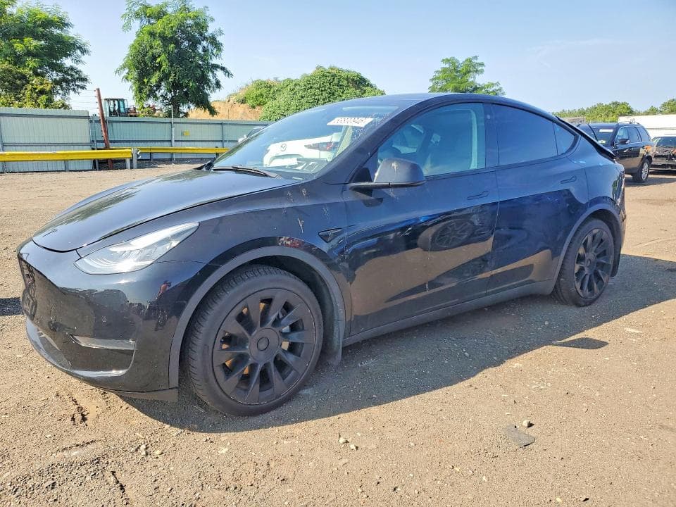 2021 TESLA MODEL Y - 1