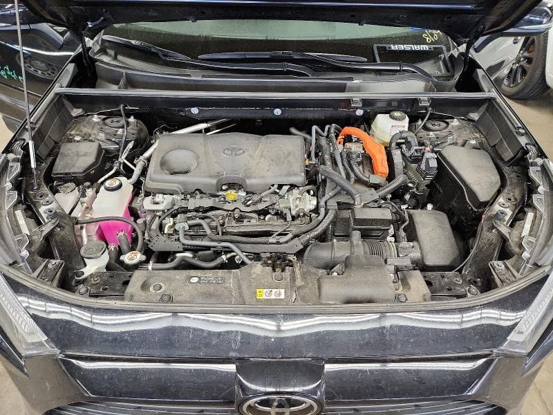 2025 TOYOTA RAV4 HYBRID XLE 12