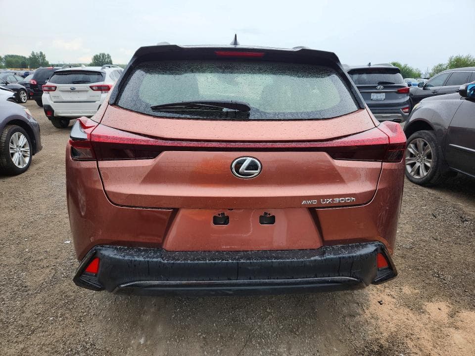2025 LEXUS UX 300H BASE 6