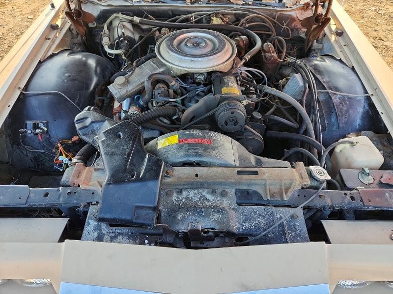 1979 LINCOLN MARK V 11