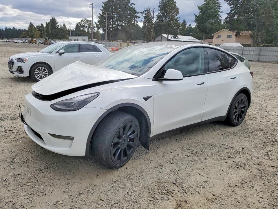 2023 TESLA MODEL Y - 1