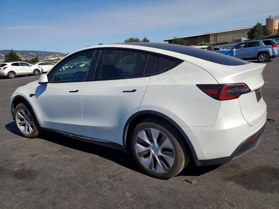 2024 TESLA MODEL Y 2