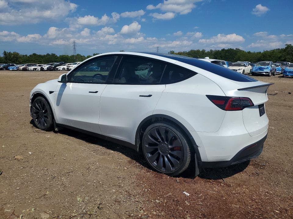 2024 TESLA MODEL Y 2
