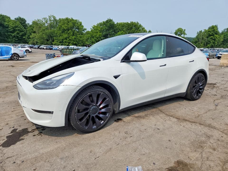 2021 TESLA MODEL Y - 1