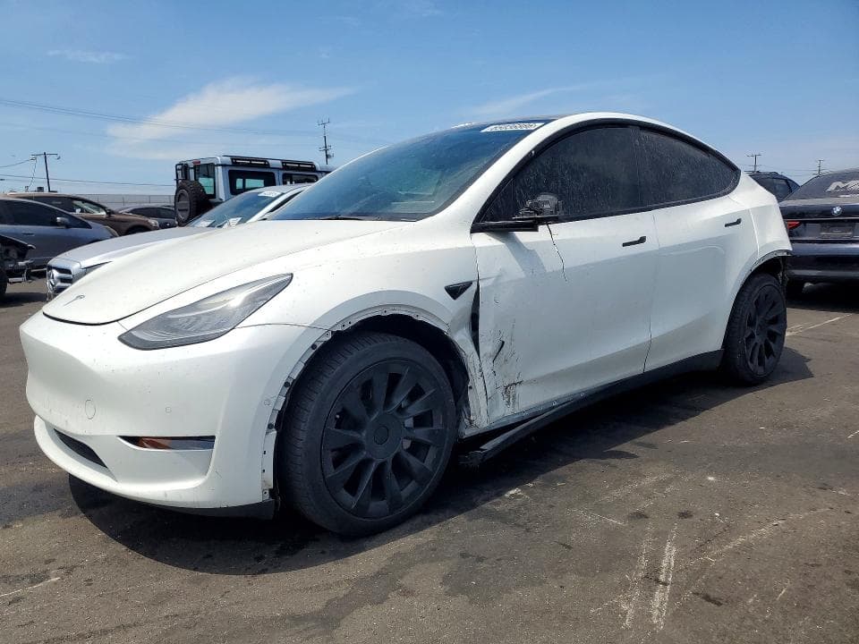 2021 TESLA MODEL Y - 1