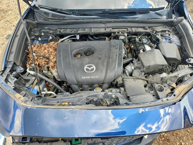 2020 MAZDA CX-30 12