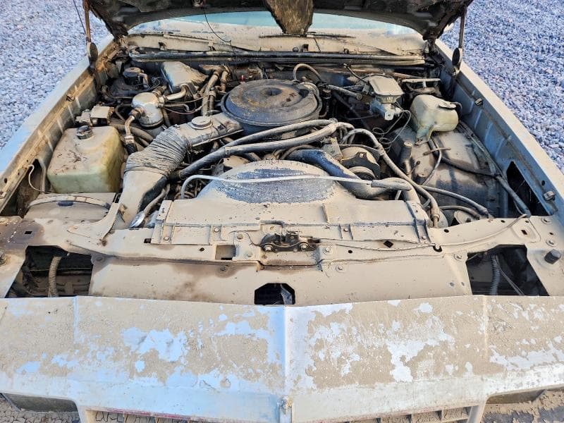 1986 CHEVROLET MONTE CARLO 11