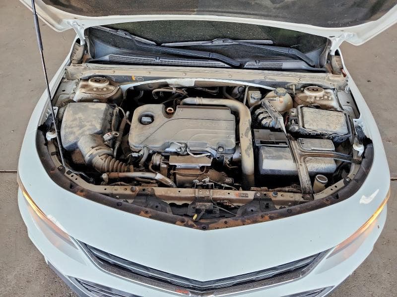 2017 CHEVROLET MALIBU LS 11