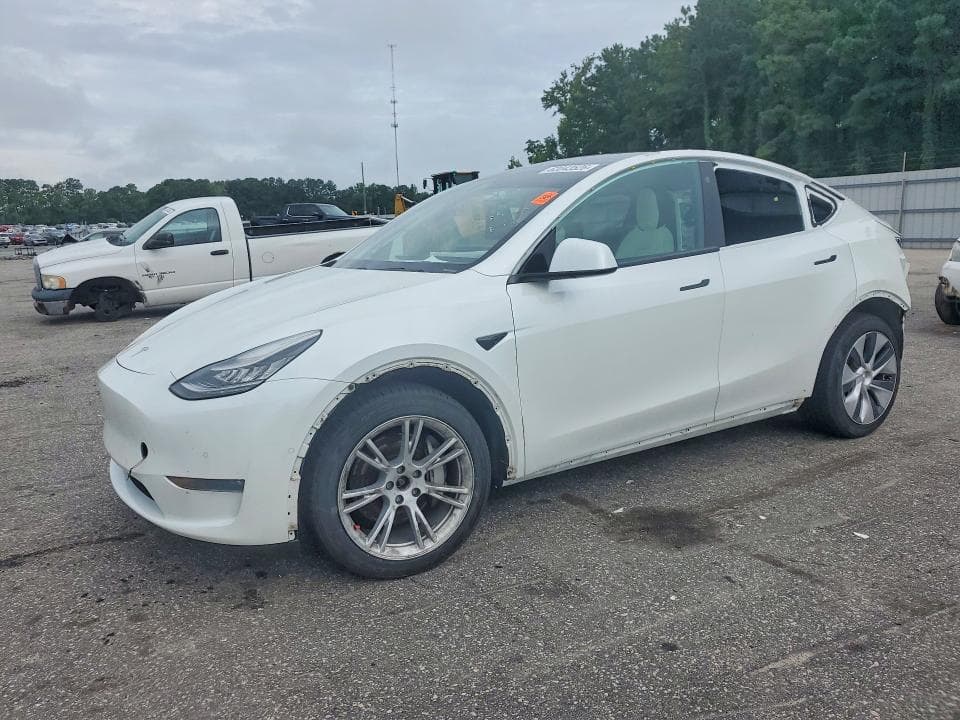 2021 TESLA MODEL  Y - 1