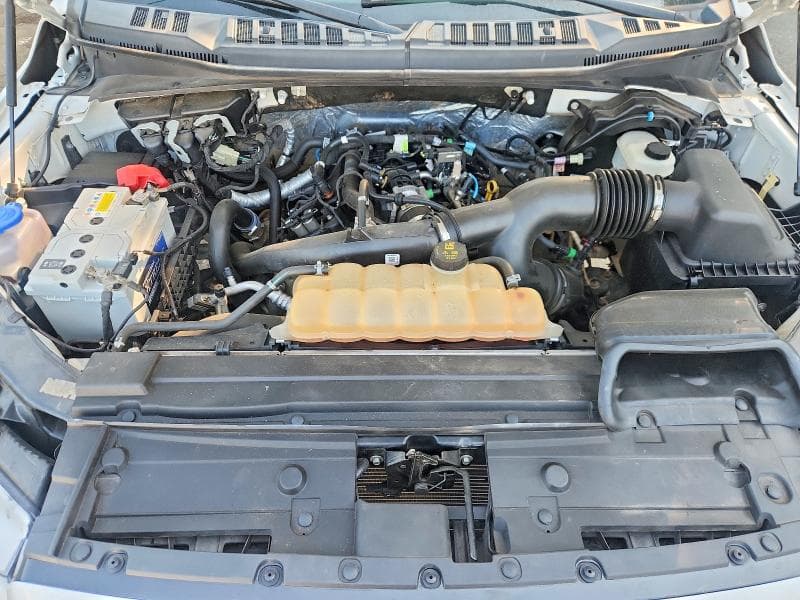2019 FORD F150 SUPERCREW 11
