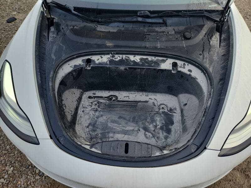2019 TESLA MODEL 3 11