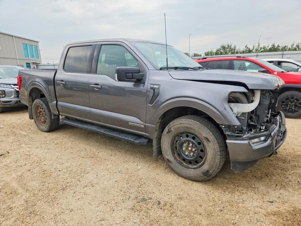 2022 FORD F150 SUPERCREW 4