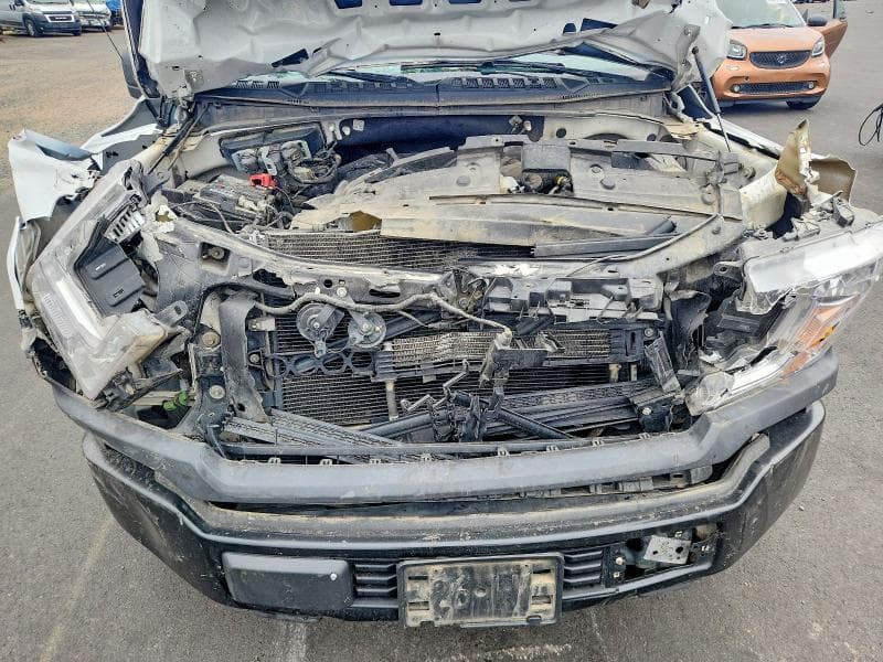 2019 FORD F150 11