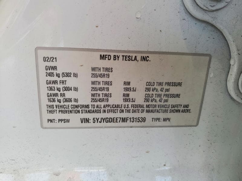 2021 TESLA MODEL Y 13