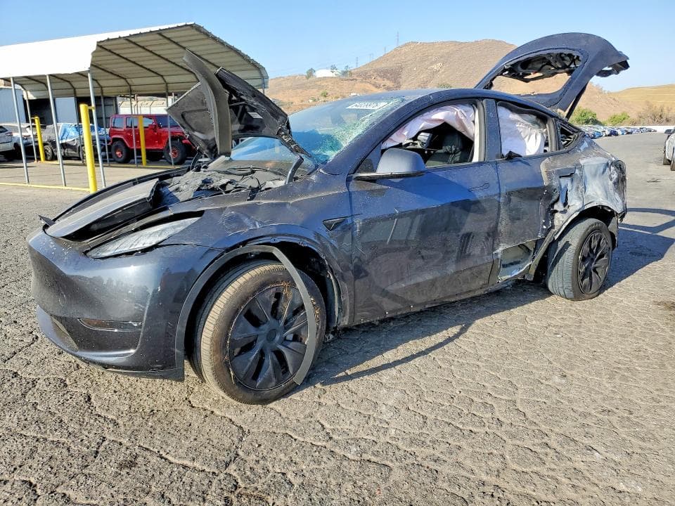2025 TESLA MODEL Y - 1