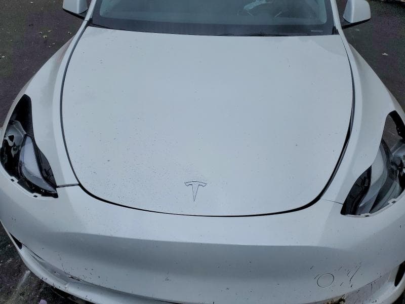 2023 TESLA MODEL Y 11