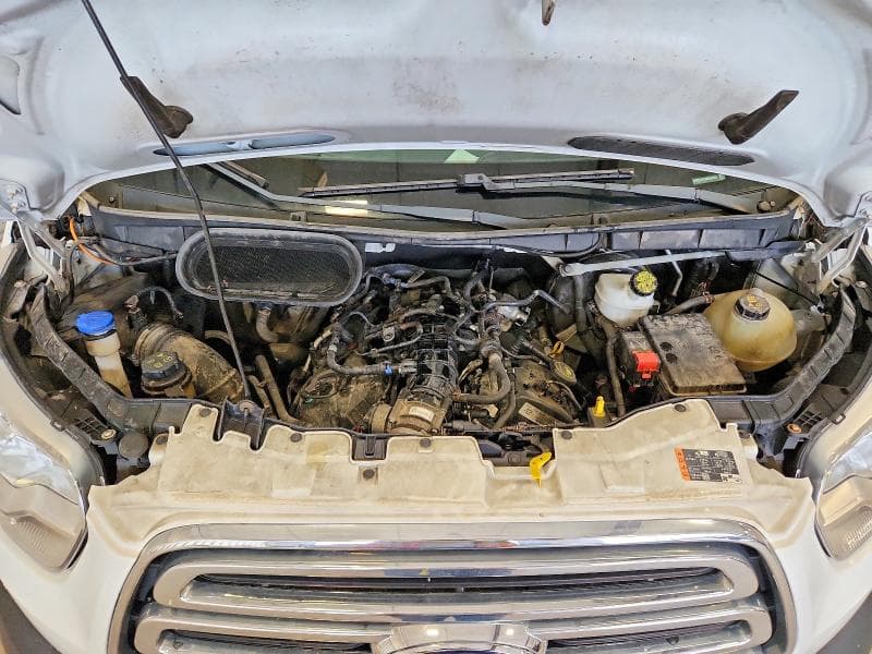 2019 FORD TRANSIT T-150 12