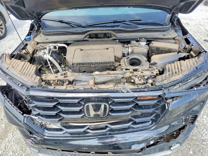 2025 HONDA PILOT TRAILSPORT 12
