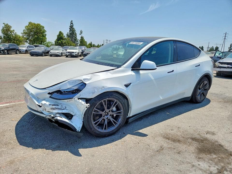 2025 TESLA MODEL Y - 1