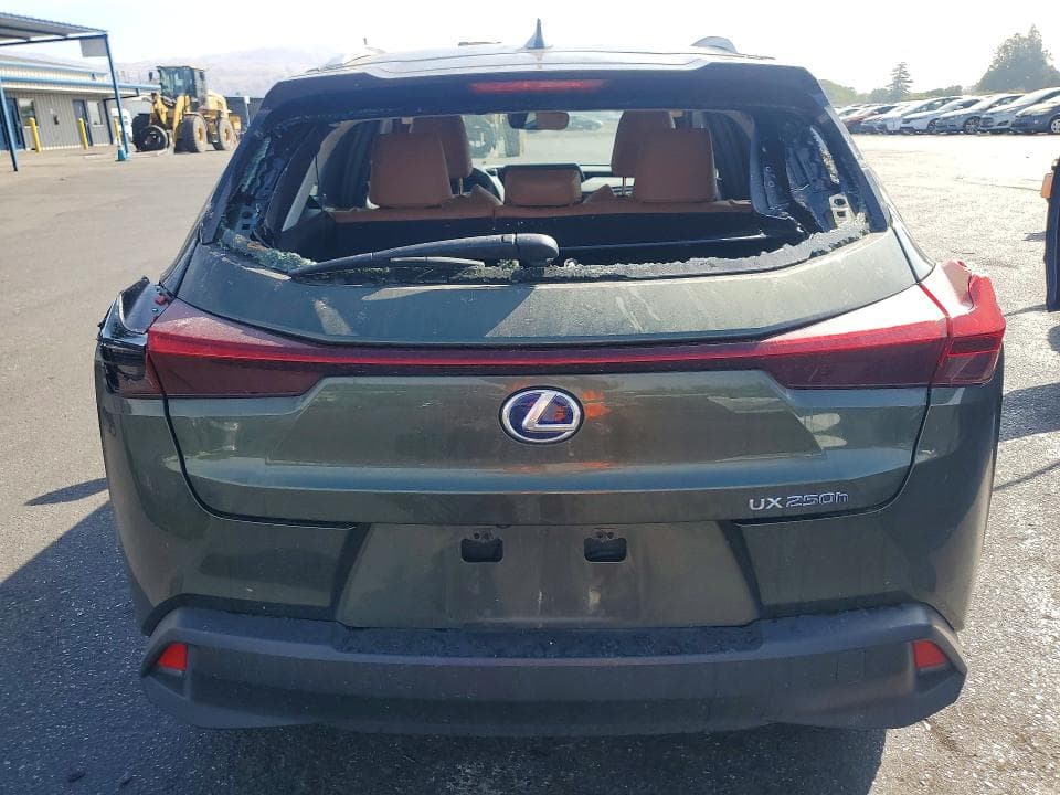 2019 LEXUS UX 250H 6