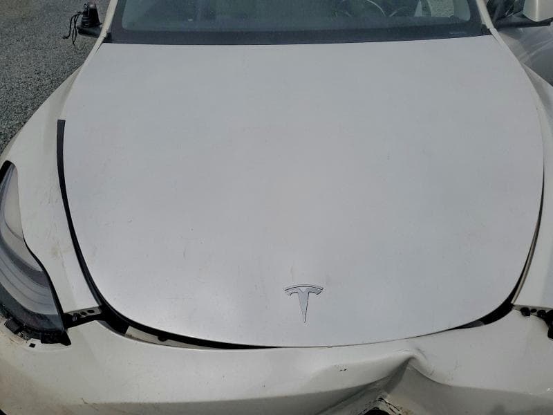 2023 TESLA MODEL Y 11