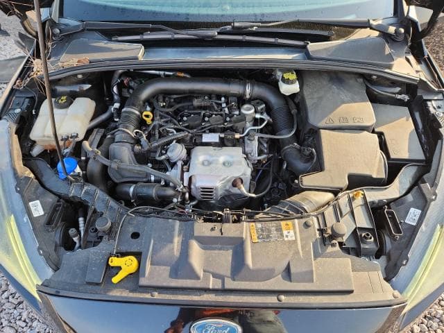 2017 FORD FOCUS SE 11