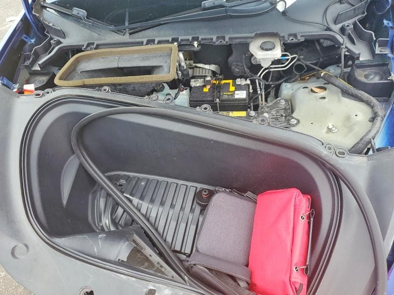 2020 TESLA MODEL Y 11