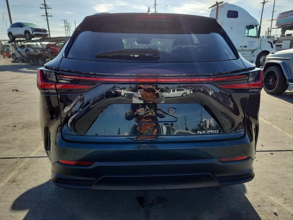 2024 LEXUS NX 250 PREMIUM 6