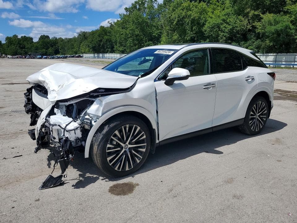 2024 LEXUS RX 350 PREMIUM+ - 1
