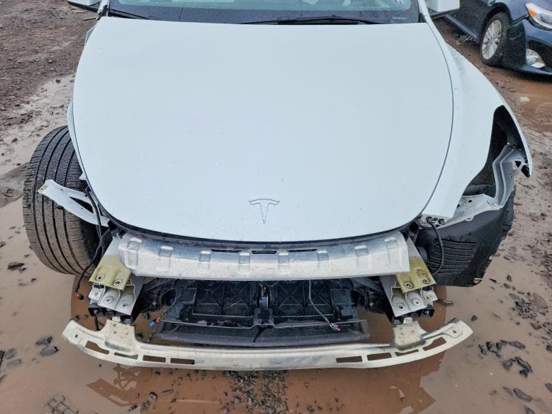 2023 TESLA MODEL Y 12