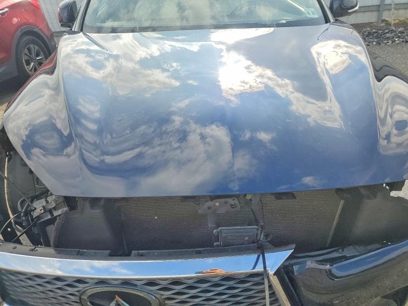 2021 INFINITI QX50 AUTOGRAPH 12