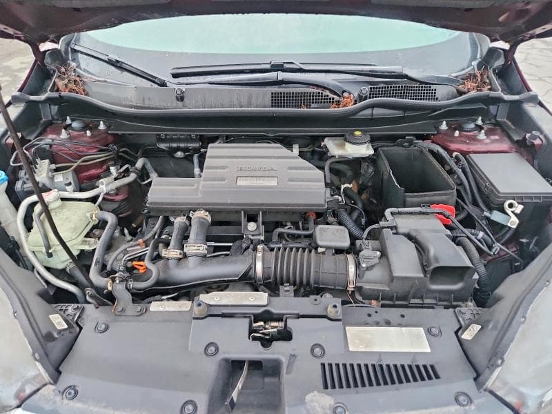 2019 HONDA CR-V EX 12