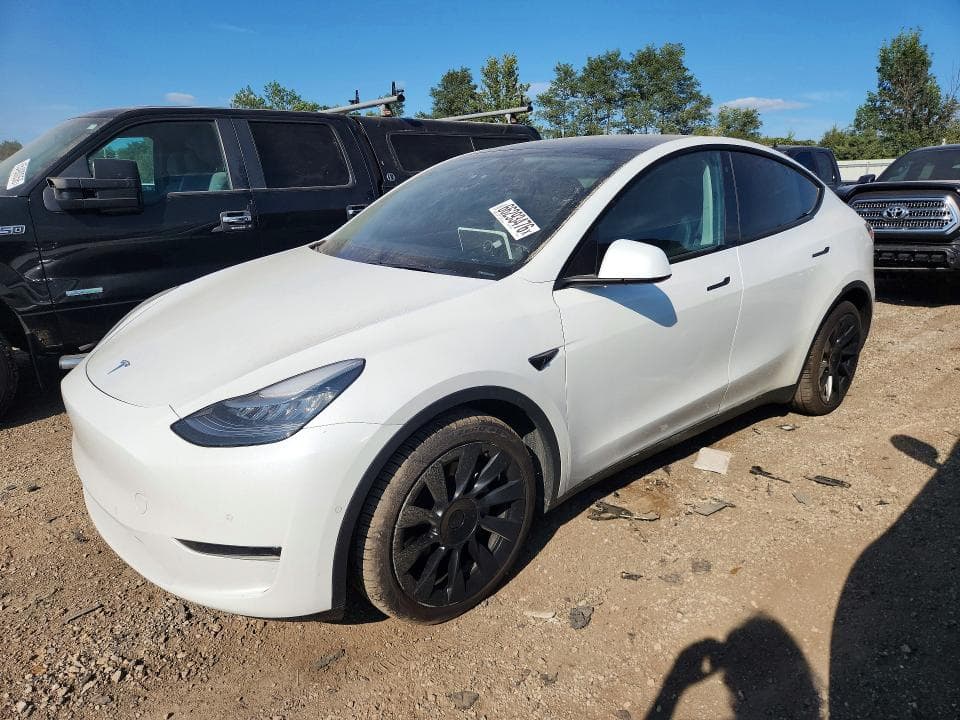 2020 TESLA MODEL Y - 1