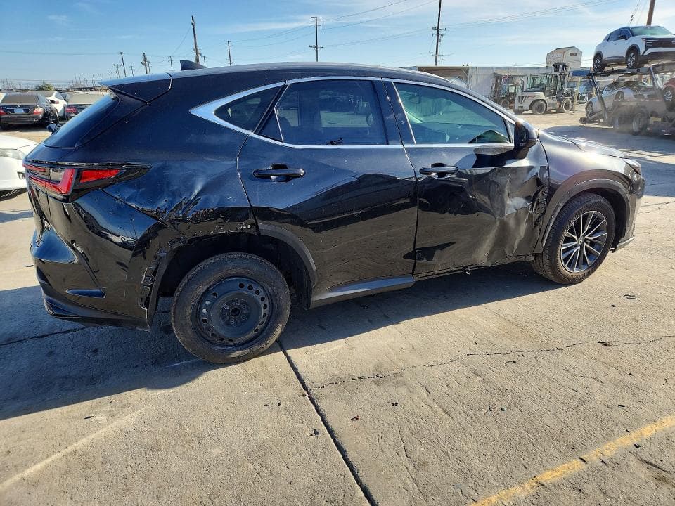2024 LEXUS NX 250 PREMIUM 3