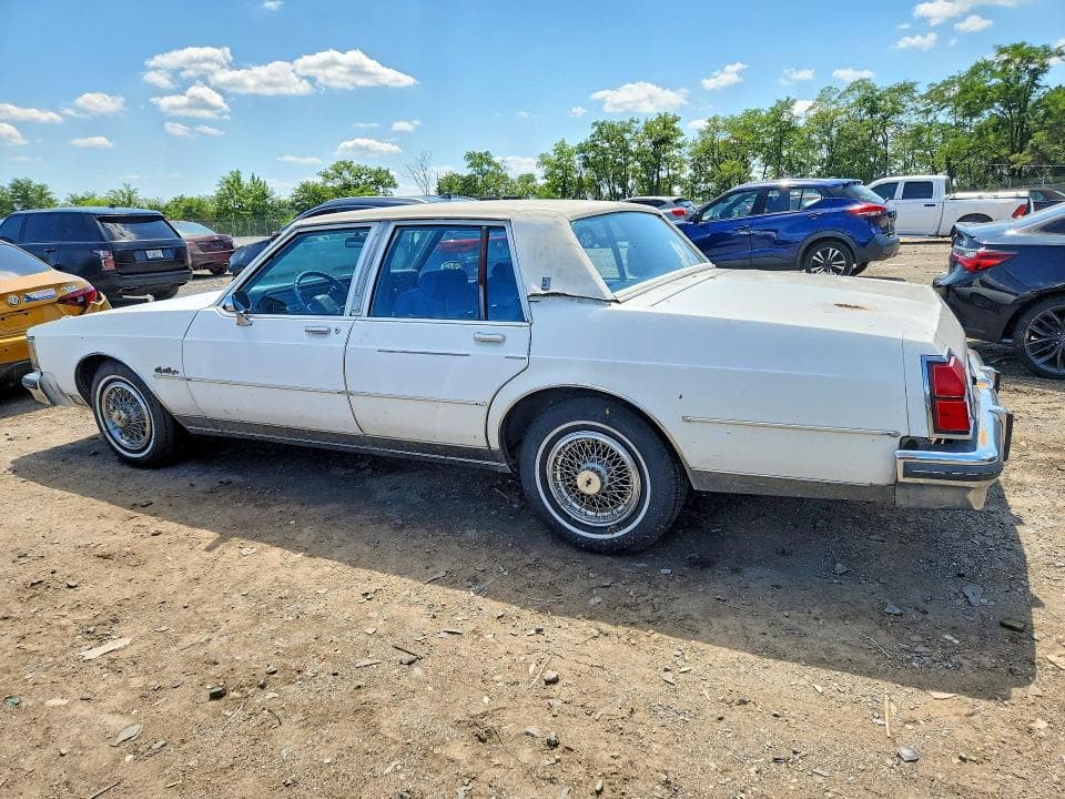 1984 OLDSMOBILE DELTA 88 ROYALE BROUGHAM LS 2