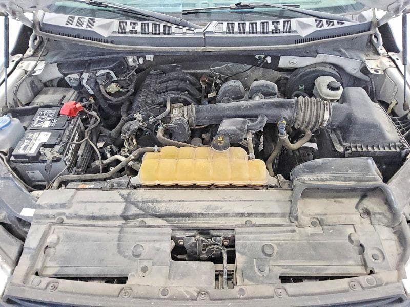 2019 FORD F150 11