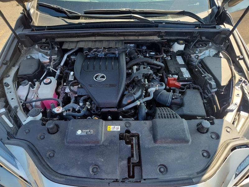 2025 LEXUS NX 350 LUXURY 12