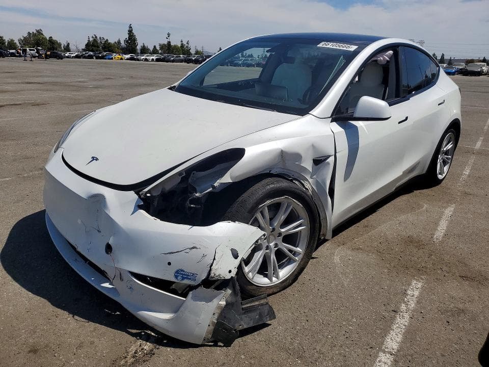 2021 TESLA MODEL Y - 1