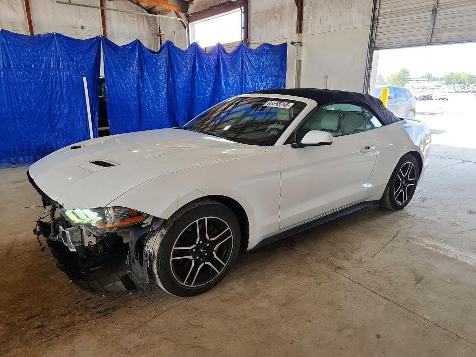 2019 FORD MUSTANG