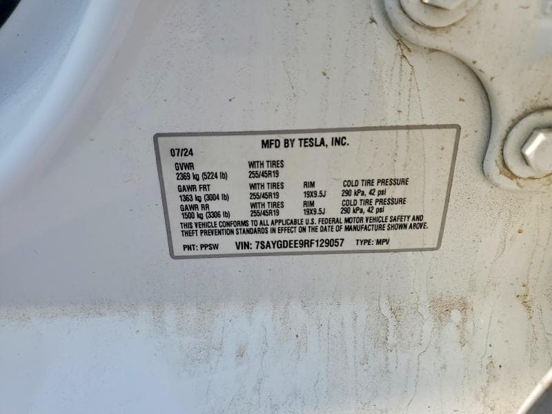 2024 TESLA MODEL Y 12