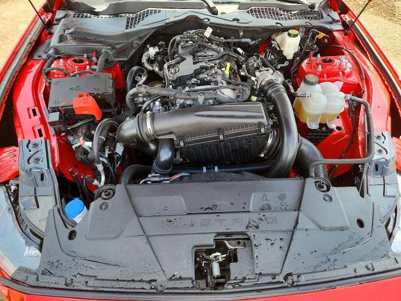 2026 FORD MUSTANG 11