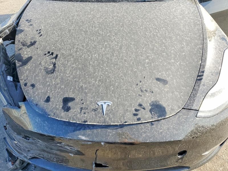 2021 TESLA MODEL Y 11